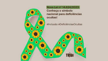 deficiências ocultas-capa